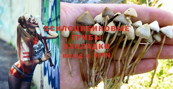 стаф Алексеевка